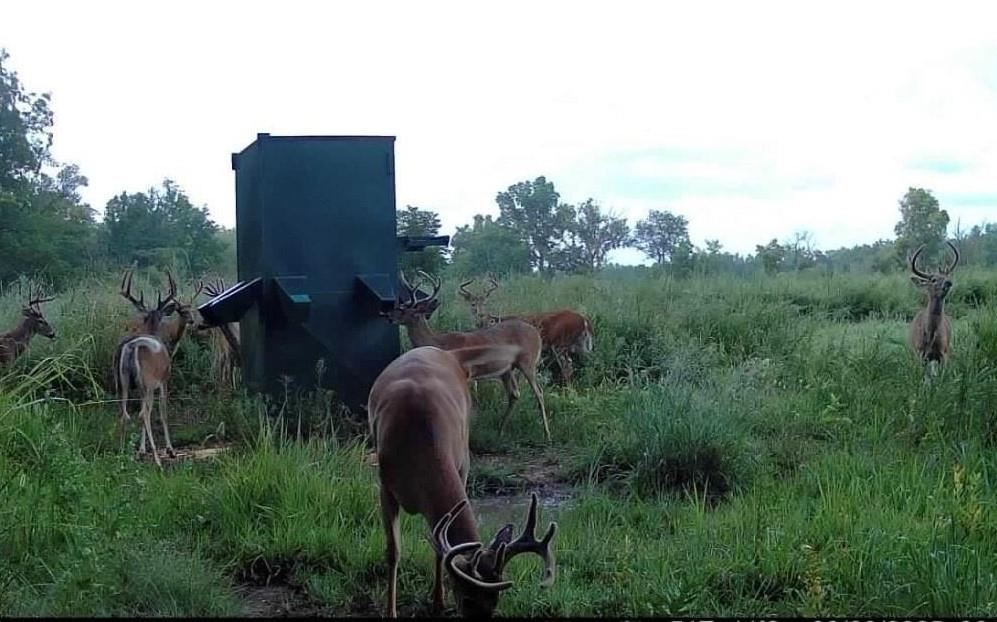 1 Scott Road Prescott, KS 66767 - Photo 43 of 49