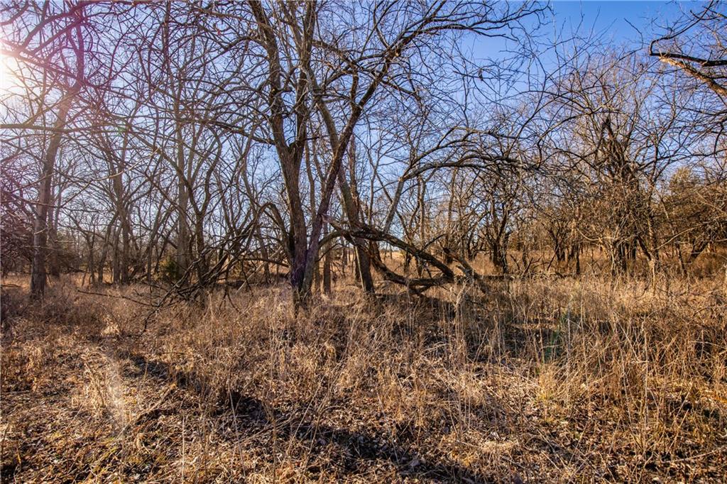 1 Scott Road Prescott, KS 66767 - Photo 7 of 49