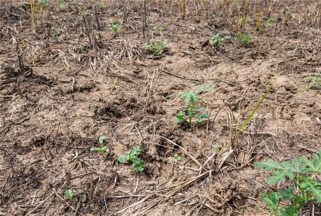 1 Scott Road Prescott, KS 66767 - Photo 8 of 34