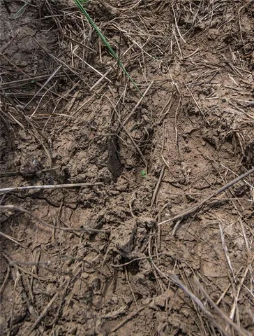 $448,000 | 1 Scott Road, Prescott, KS 66767