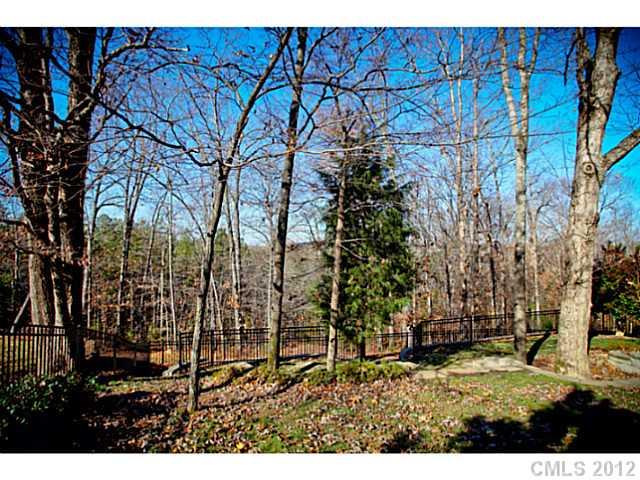 213 Mills Lane Fort Mill, SC 29708 - Photo 16 of 16 a view of outdoor space and yard