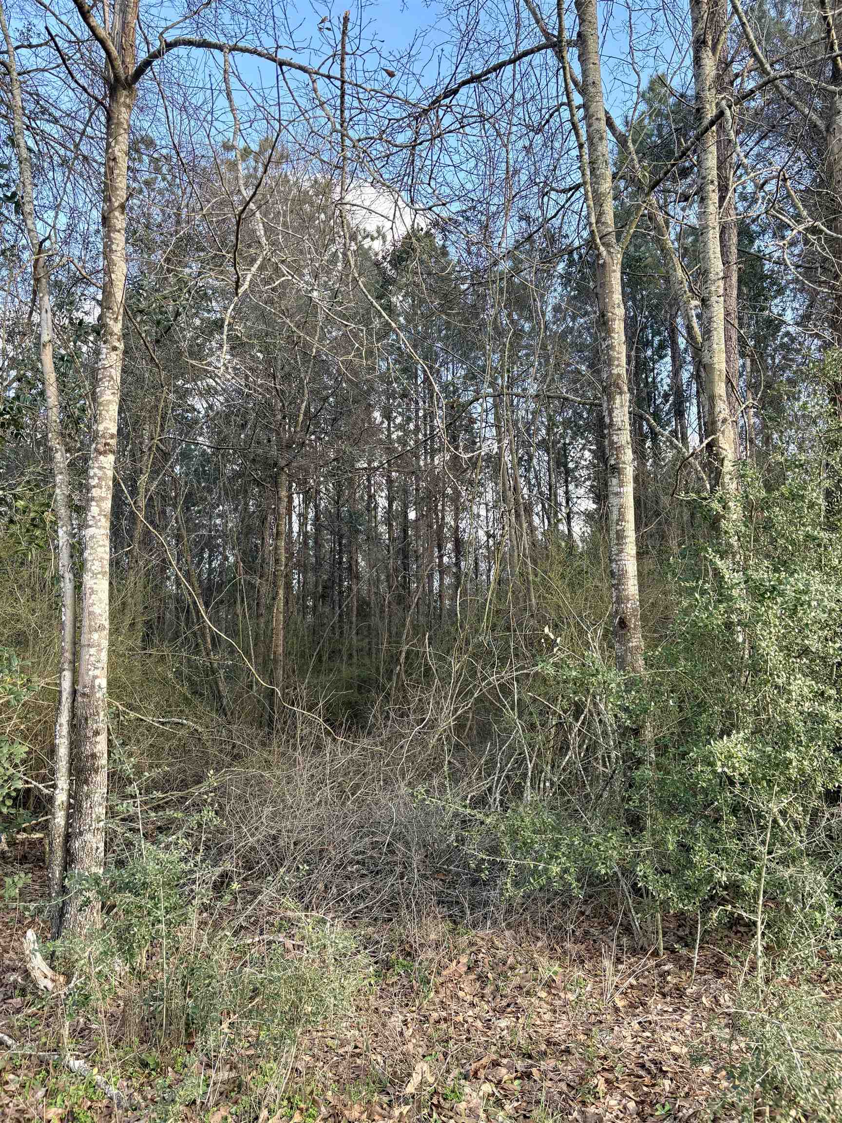 0 James Brooks Road Atmore, AL 36502 - Photo 5 of 16 View
