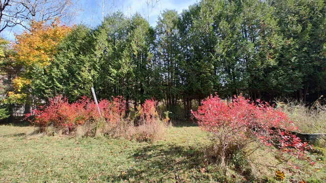 $298,500 | 4 Cedar Street, Bucksport, ME 04416