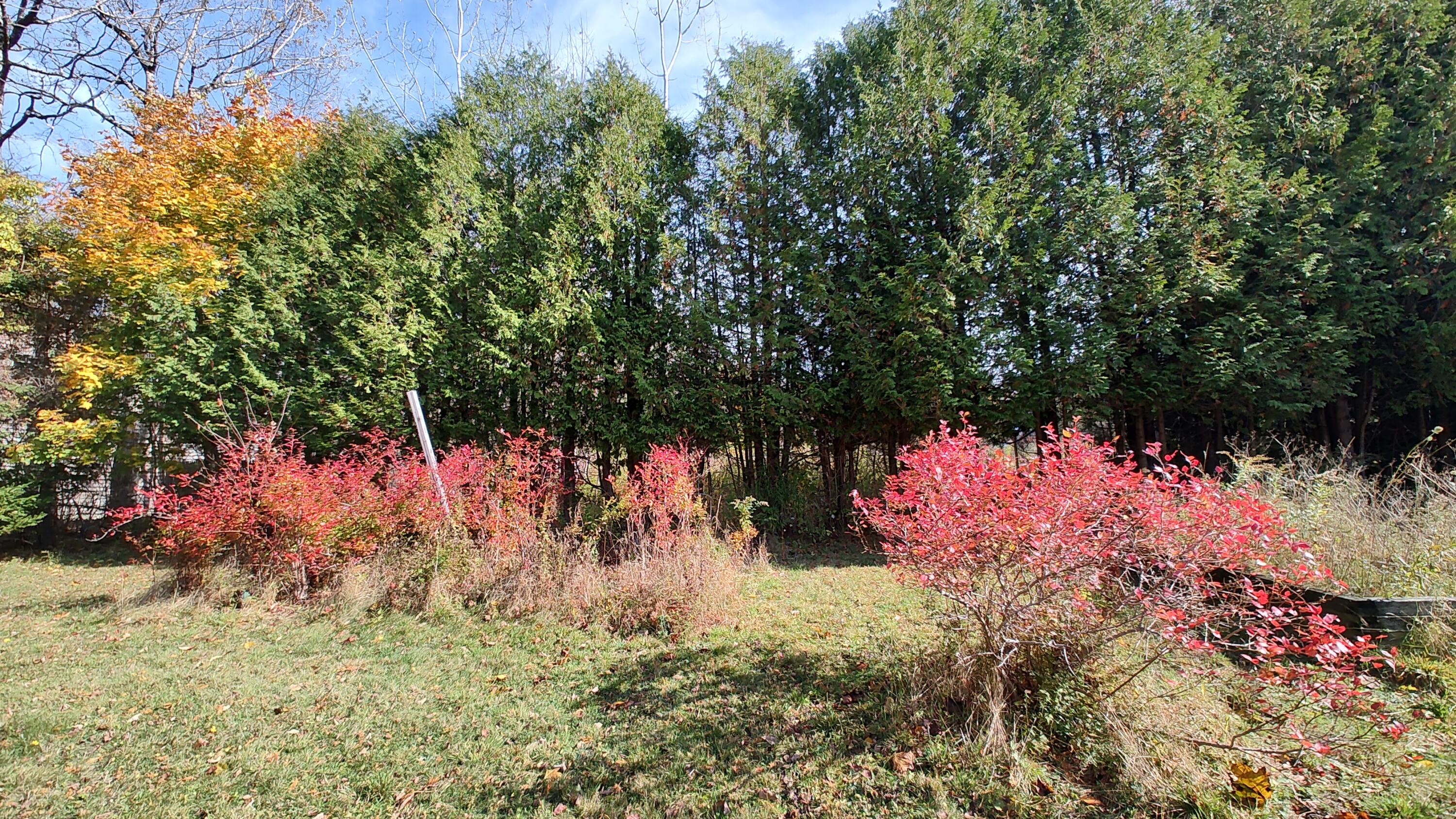 4 Cedar Street Bucksport, ME 04416 - Photo 28 of 29 IMG_20251023_130133258_HDR