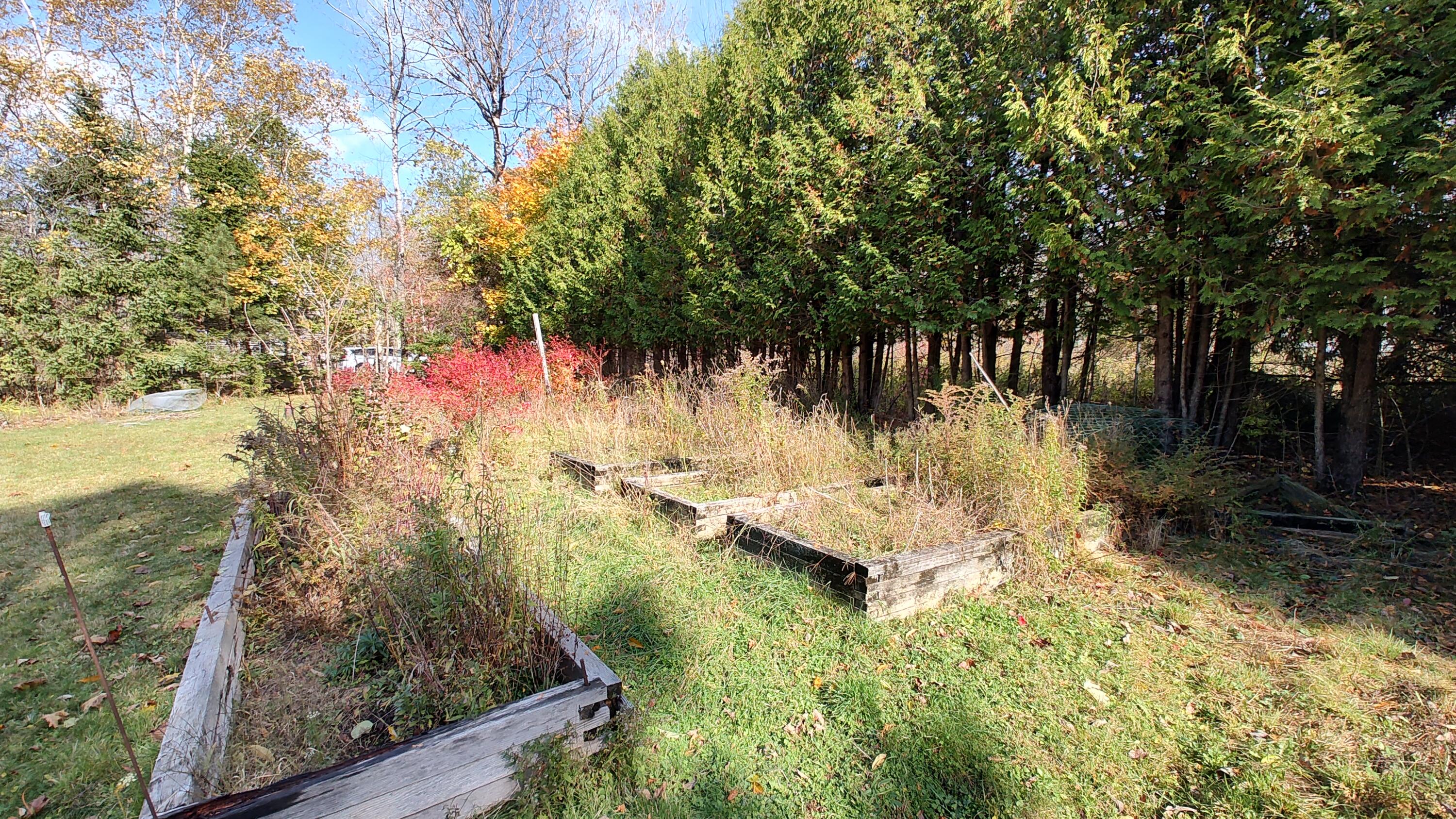 4 Cedar Street Bucksport, ME 04416 - Photo 29 of 29 IMG_20251023_130119805_HDR