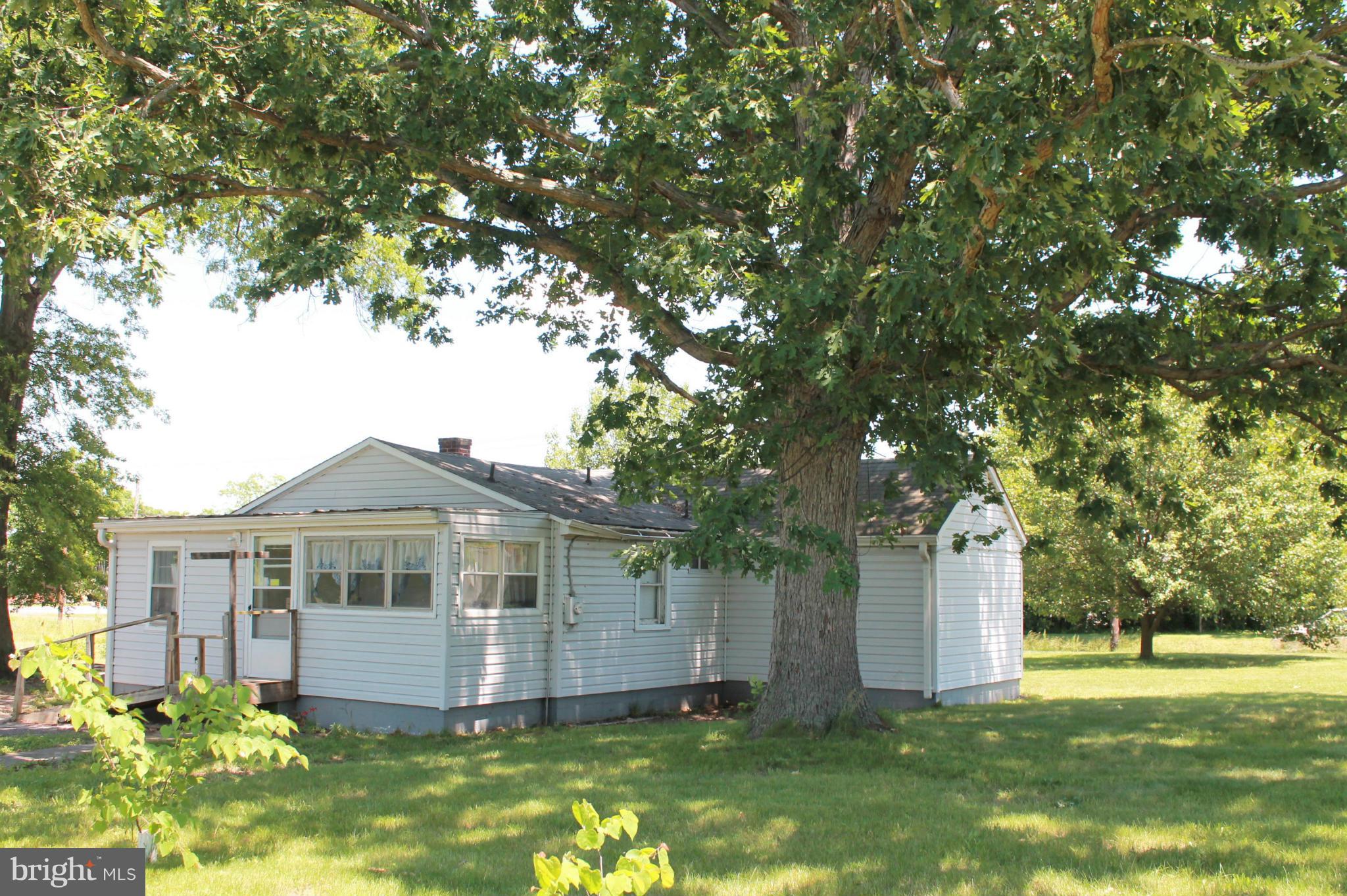 3516 Papermill Road Winchester, VA 22602 - Photo 14 of 28 Spacious backyard with lovely shade tree.