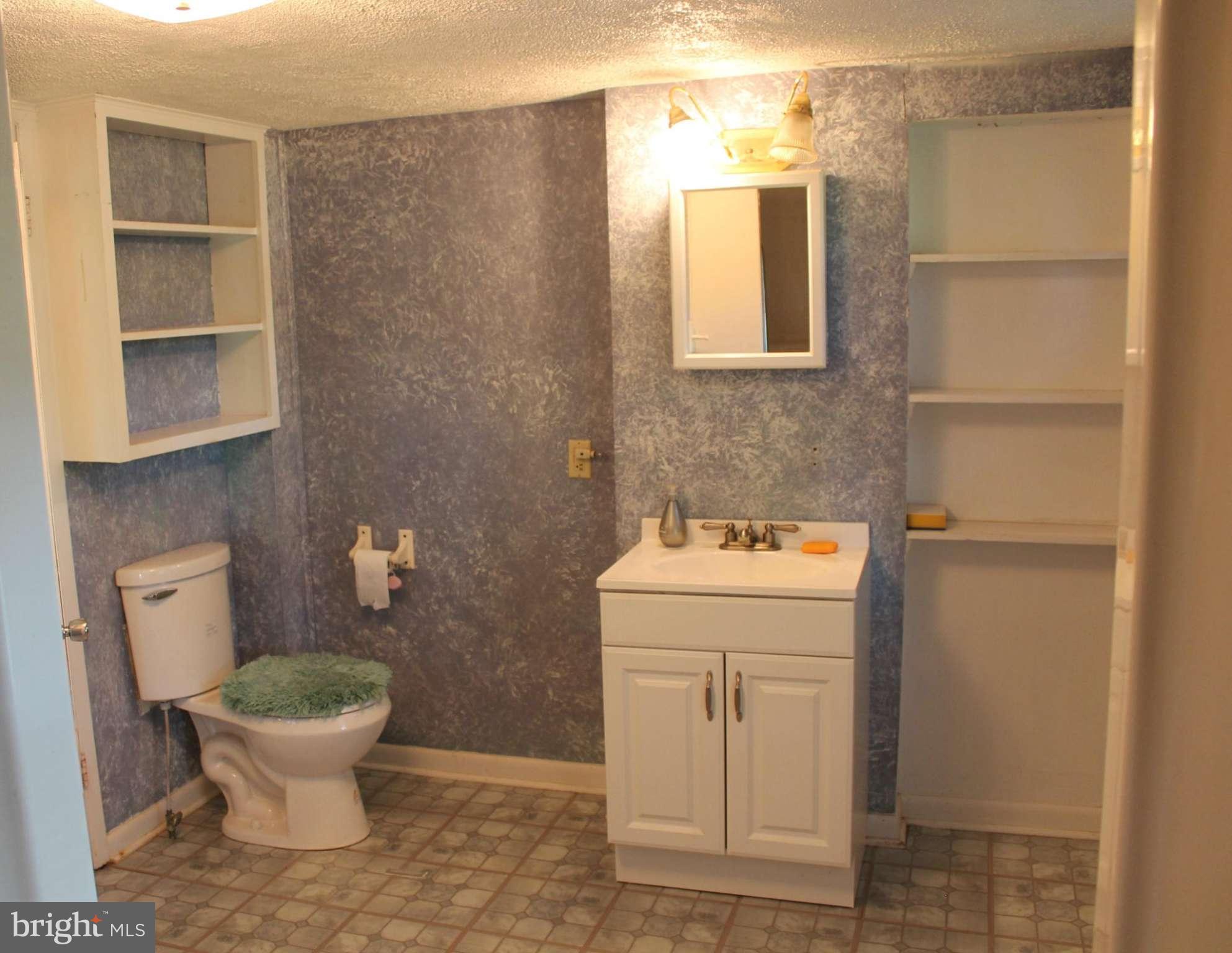 3516 Papermill Road Winchester, VA 22602 - Photo 22 of 28 Large bath with plenty of room.