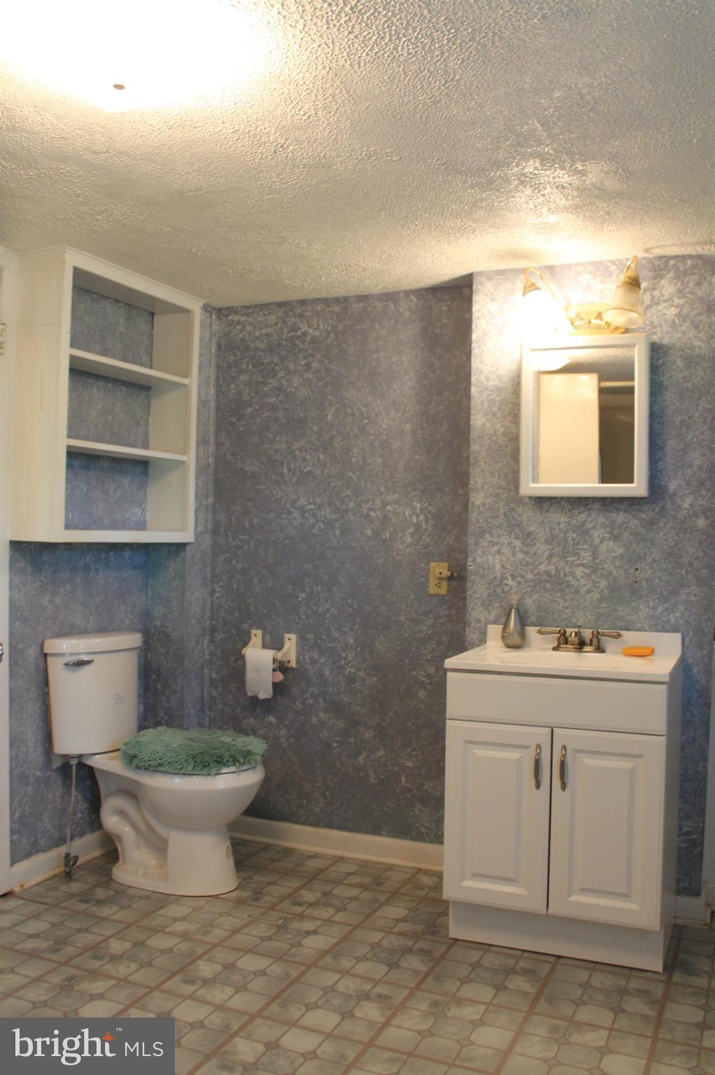 3516 Papermill Road Winchester, VA 22602 - Photo 23 of 28 Well lit bathroom.