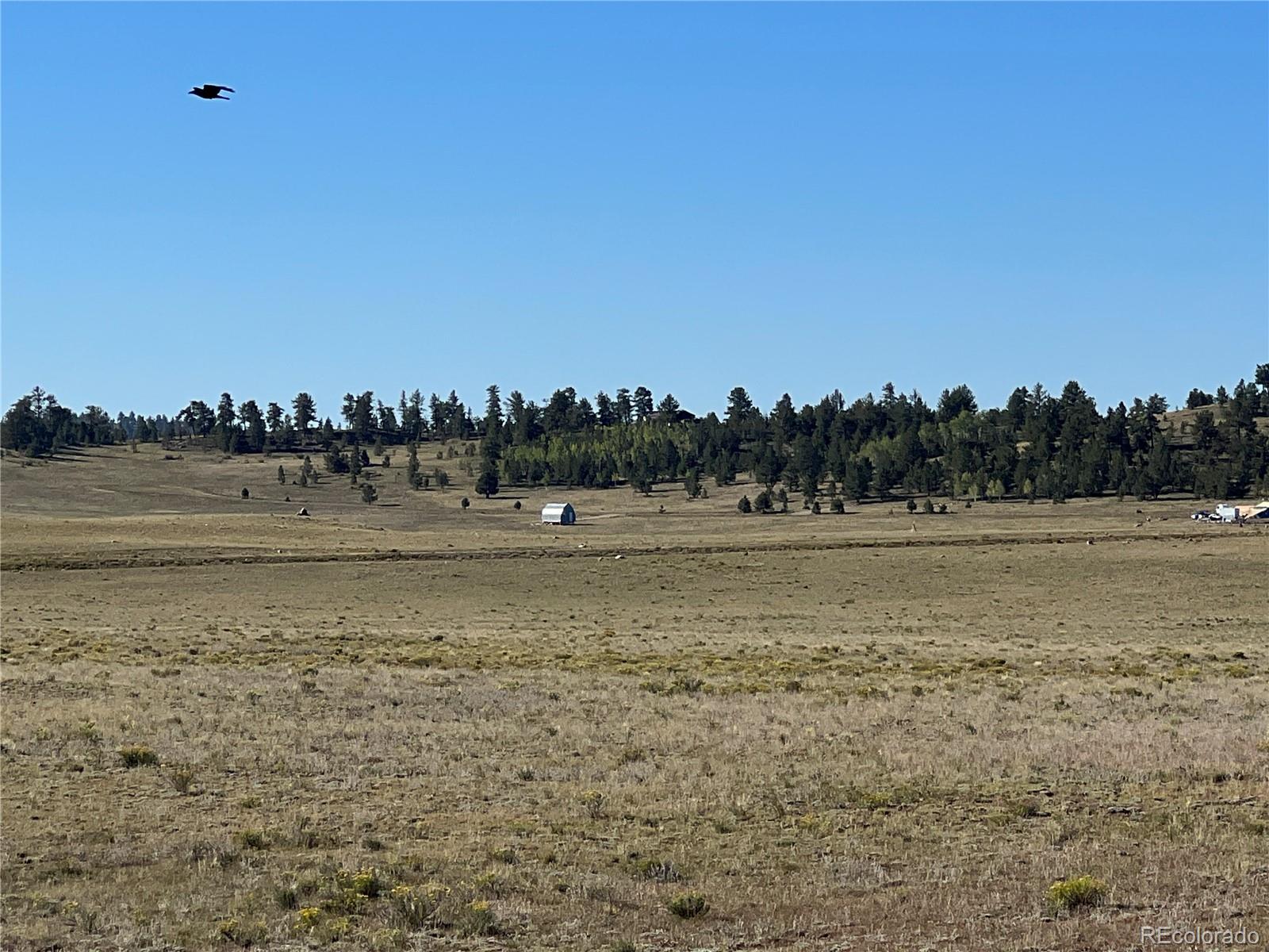1348 Apache Trail Hartsel, CO 80449 - Photo 11 of 38 a view of a field with trees in background