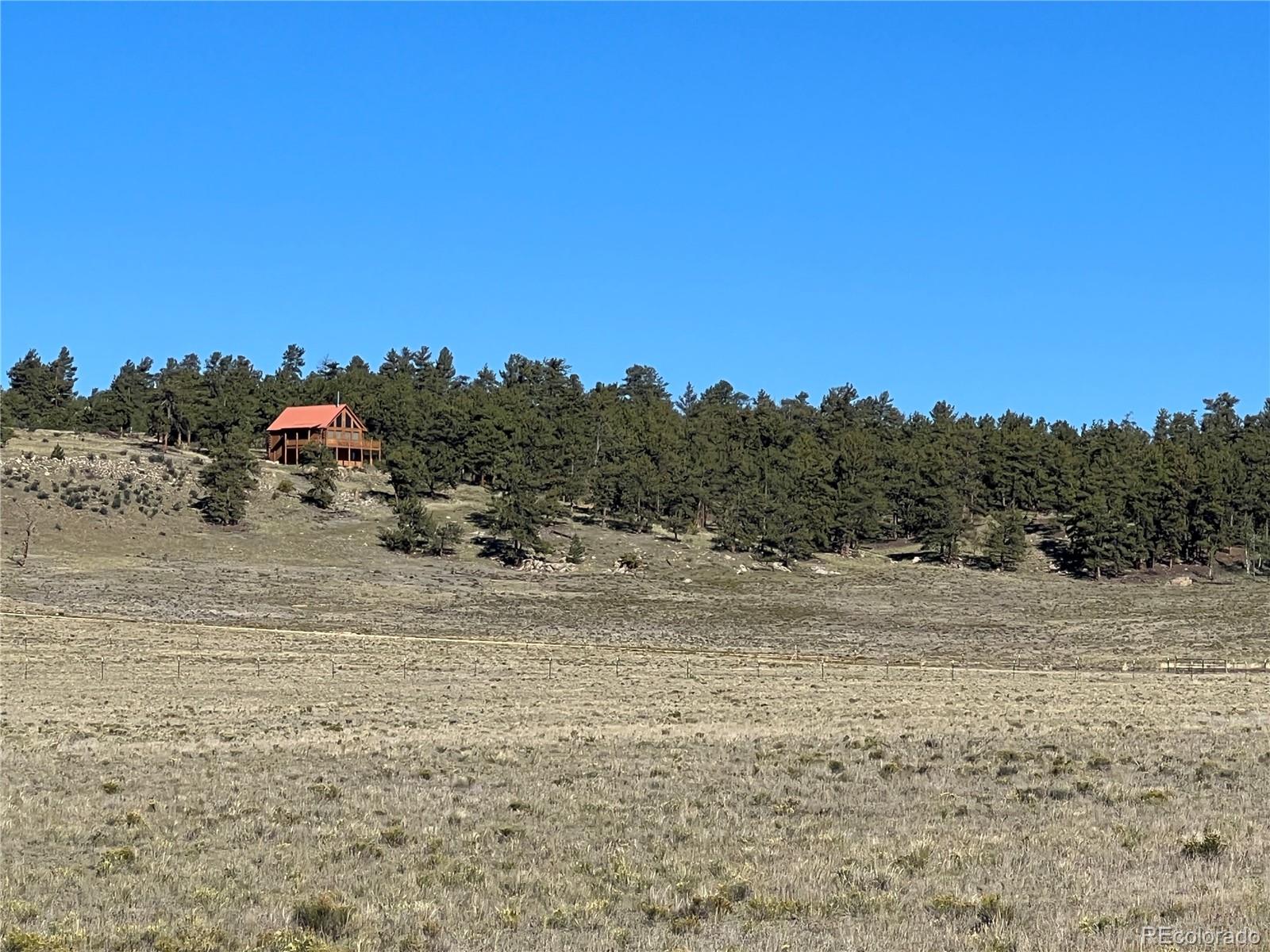 1348 Apache Trail Hartsel, CO 80449 - Photo 16 of 38 a view of a dry yard with trees