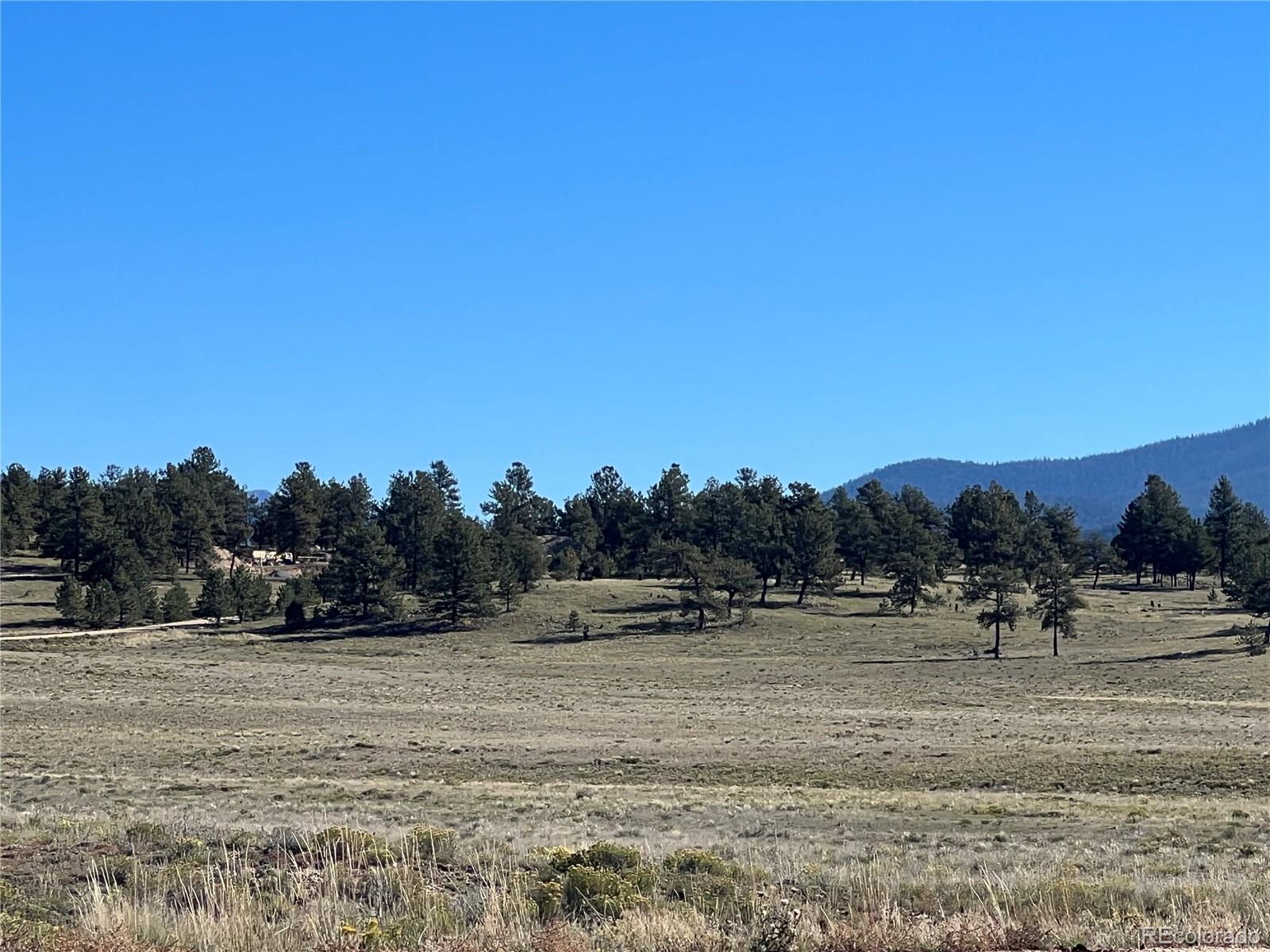 1348 Apache Trail Hartsel, CO 80449 - Photo 19 of 38 a view of mountain view with lots of trees