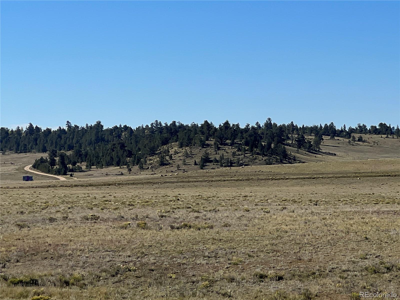 1348 Apache Trail Hartsel, CO 80449 - Photo 6 of 38 a view of dirt field and trees