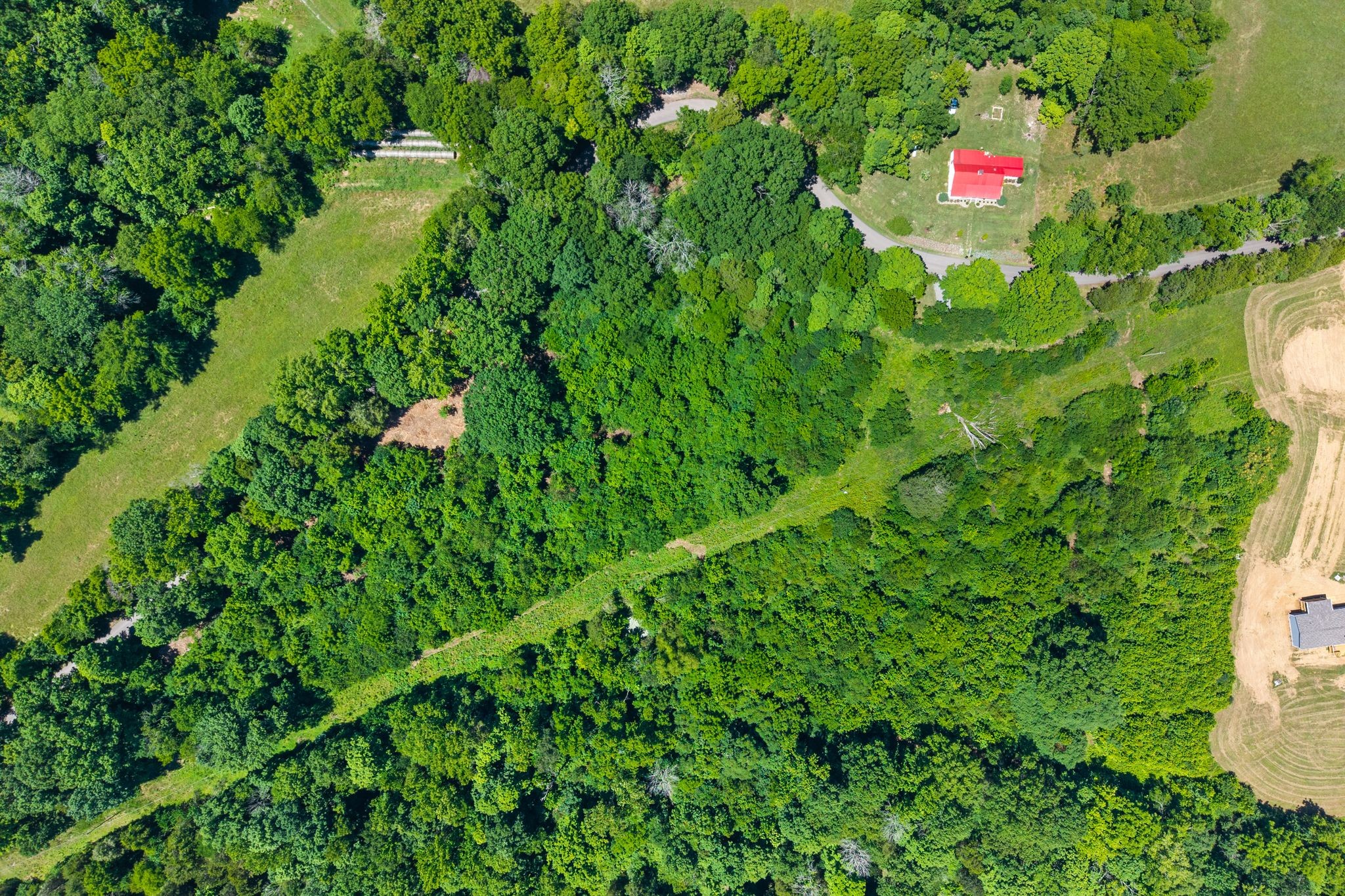 0 Belotes Bend Road Castalian Springs, TN 37031 - Photo 5 of 6