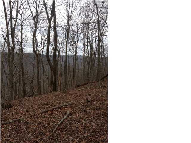 8 Old Harris Turnpike Road, Unit 8 Jasper, TN 37347 - Photo 2 of 8 Additional Photo