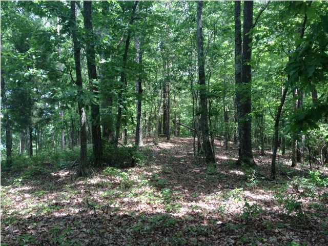 8 Old Harris Turnpike Road, Unit 8 Jasper, TN 37347 - Photo 7 of 8 Additional Photo