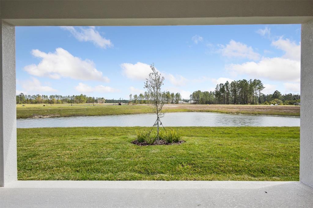 1988 Webbstone Way Zephyrhills, FL 33541 - Photo 29 of 31