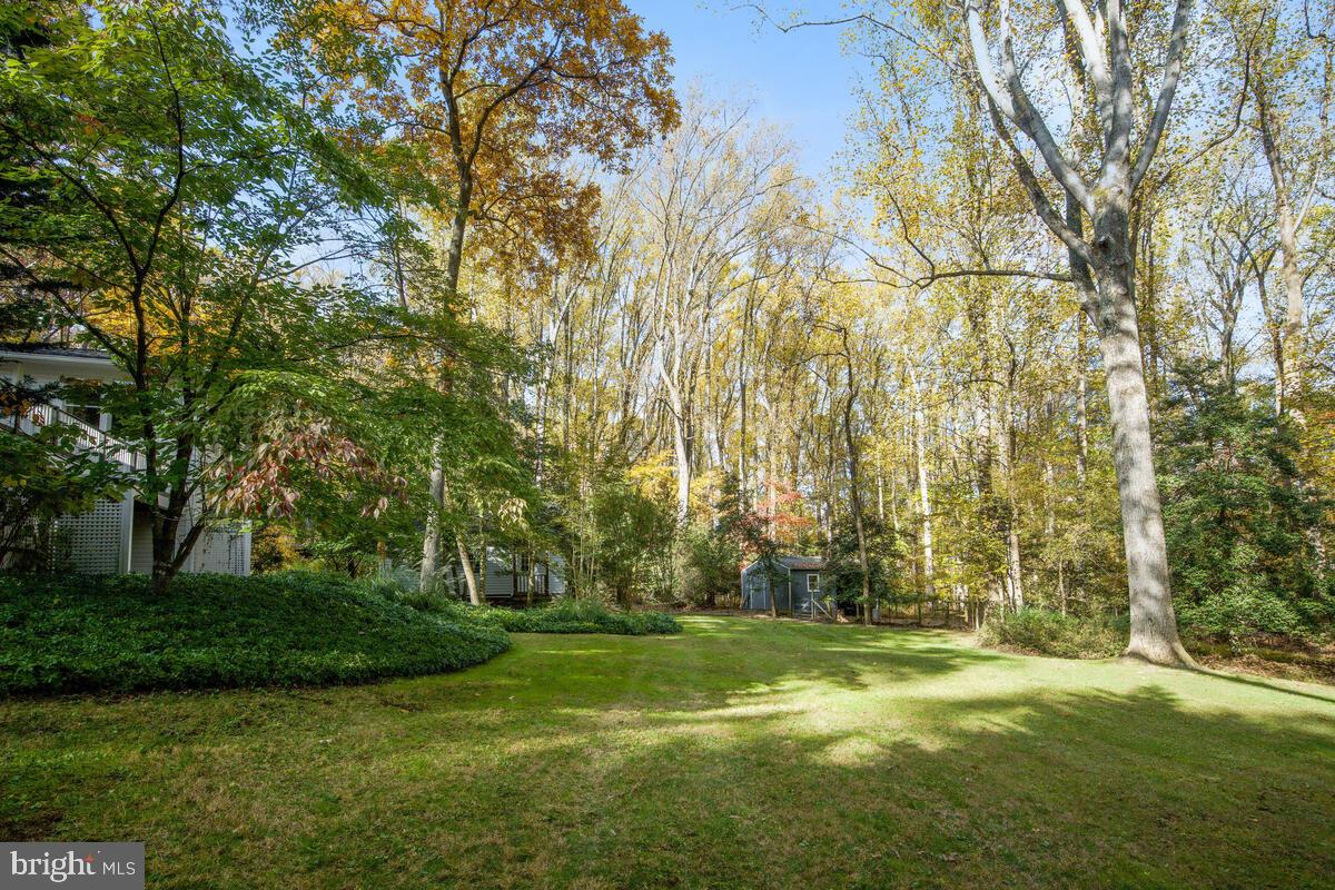 12303 Remington Drive Silver Spring, MD 20902 - Photo 62 of 68 Rear Yard