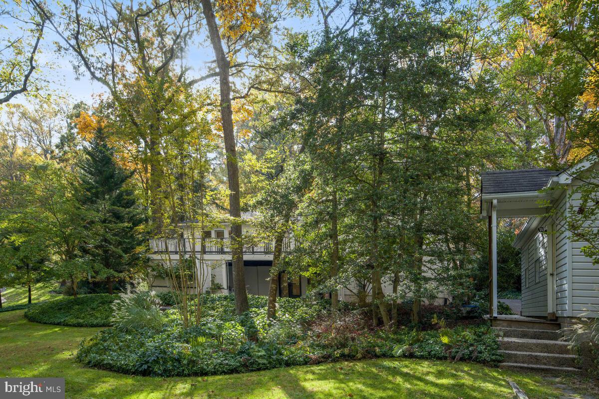 12303 Remington Drive Silver Spring, MD 20902 - Photo 65 of 68 Rear Yard