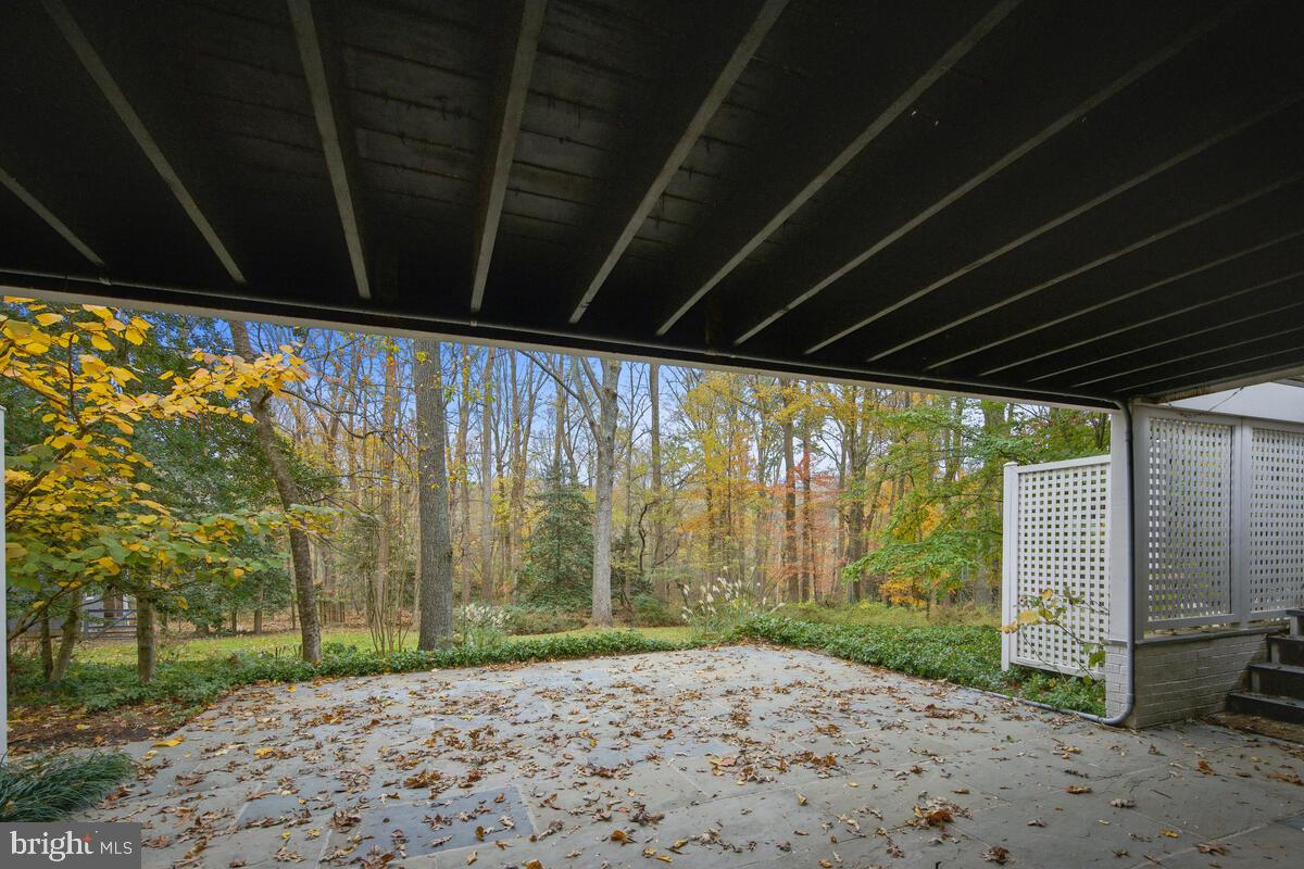 12303 Remington Drive Silver Spring, MD 20902 - Photo 67 of 68 Rear Patio