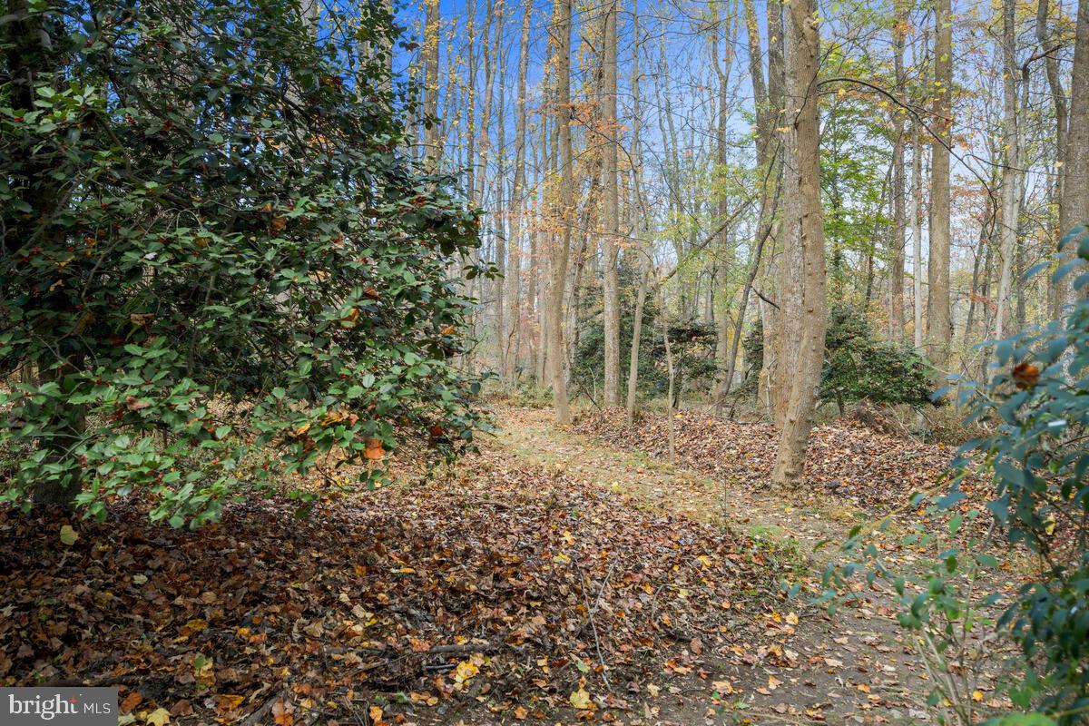 12303 Remington Drive Silver Spring, MD 20902 - Photo 68 of 68 Rear Yard Path to Trail