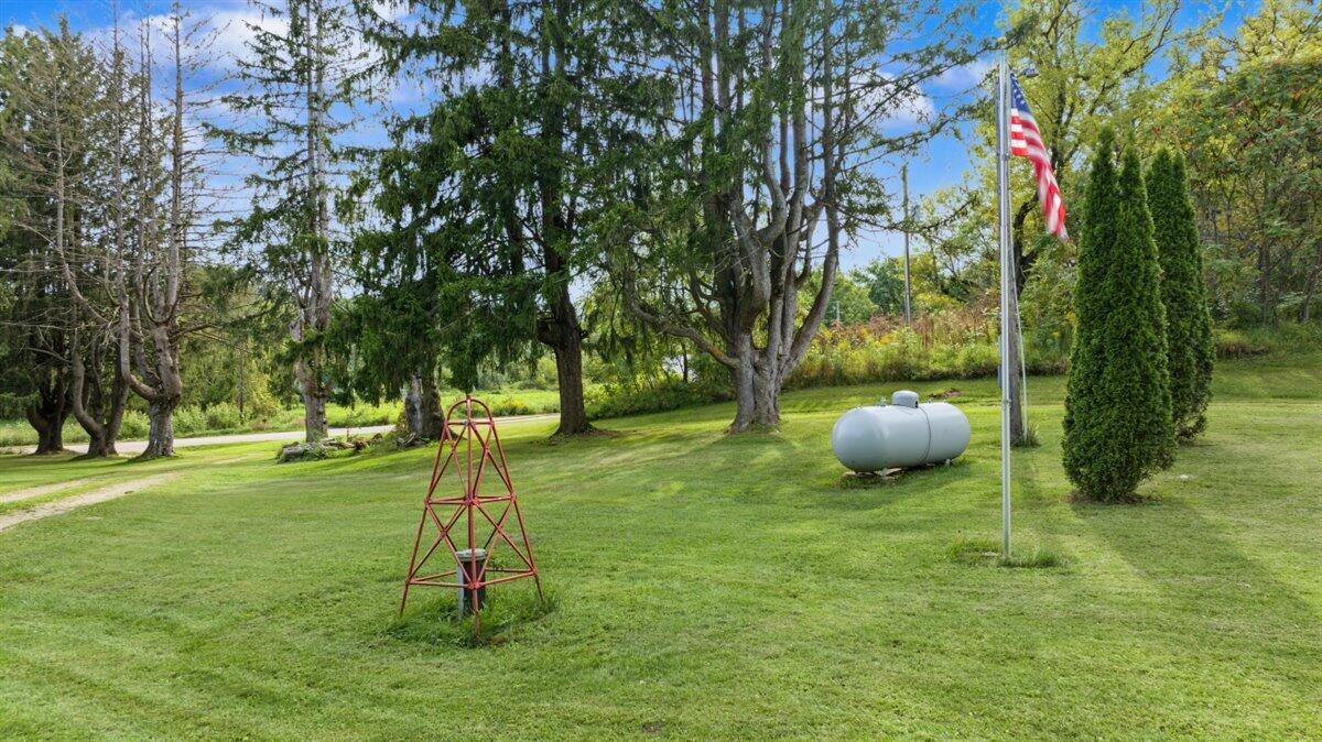 E8452 County Rd P Christiana, WI 54667 - Photo 24 of 24 Back yard View
