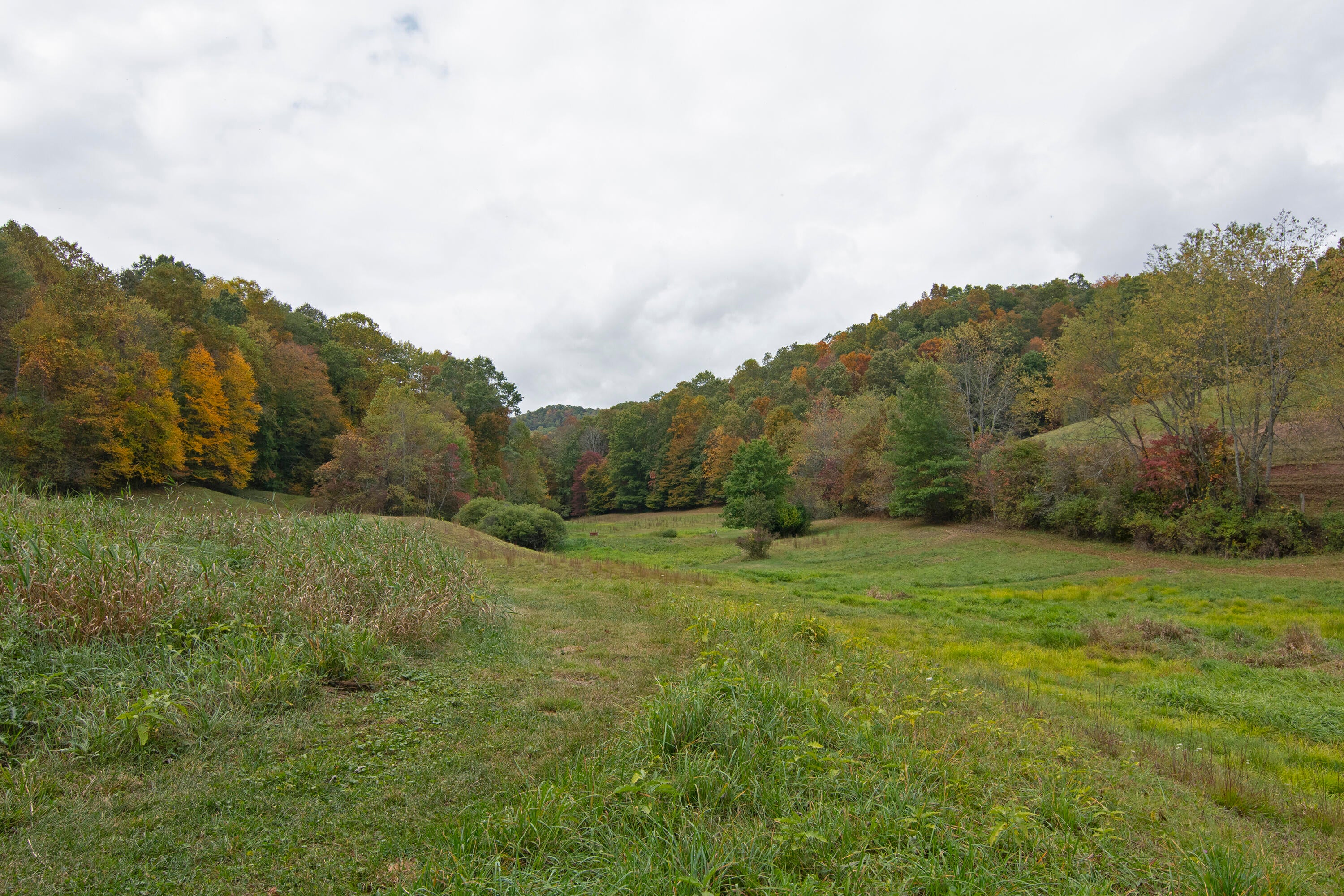 7394 Crag Road Rainelle, WV 25962 - Photo 10 of 41 lay of the land