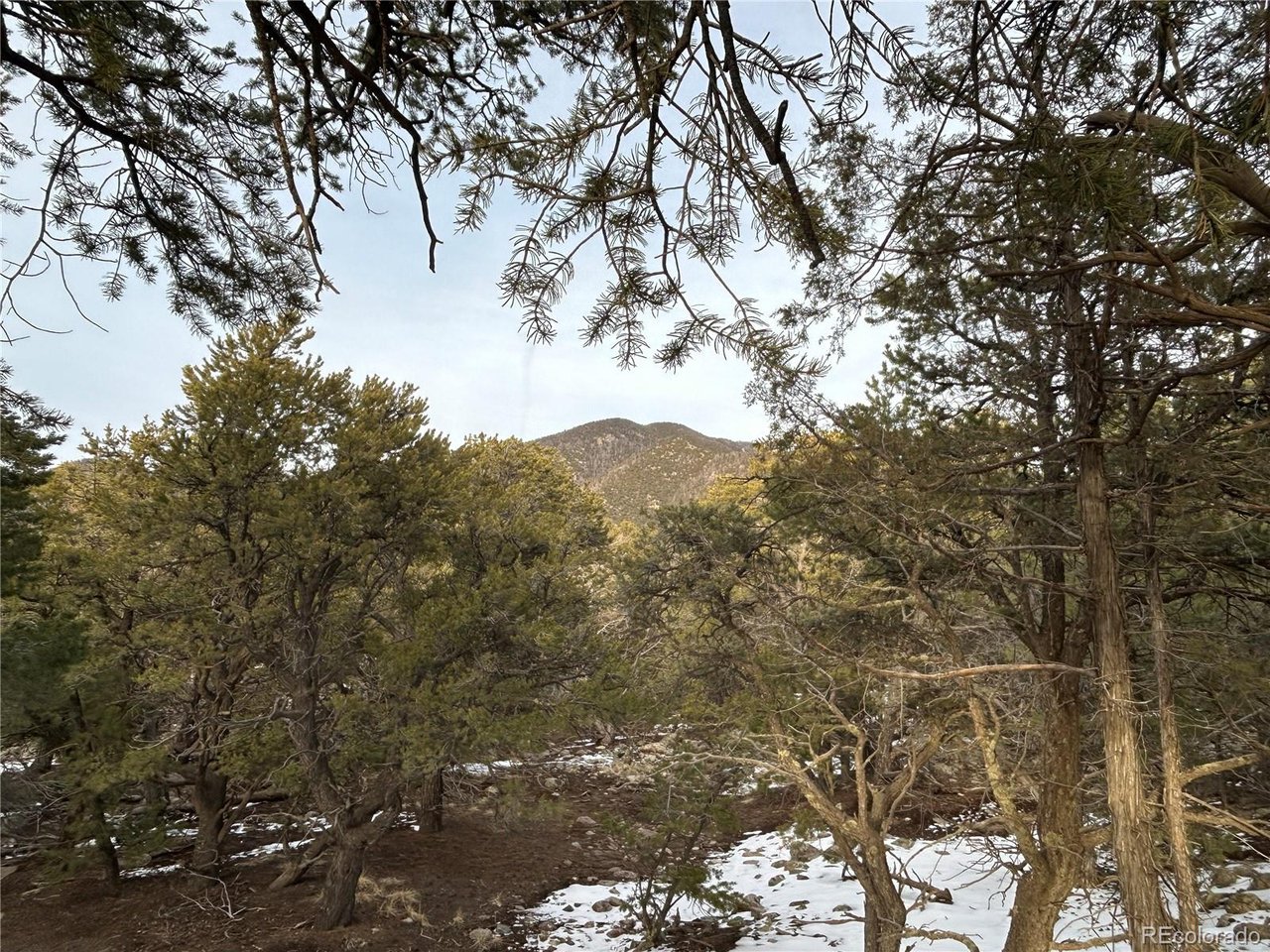 a view of mountain view with lots of trees