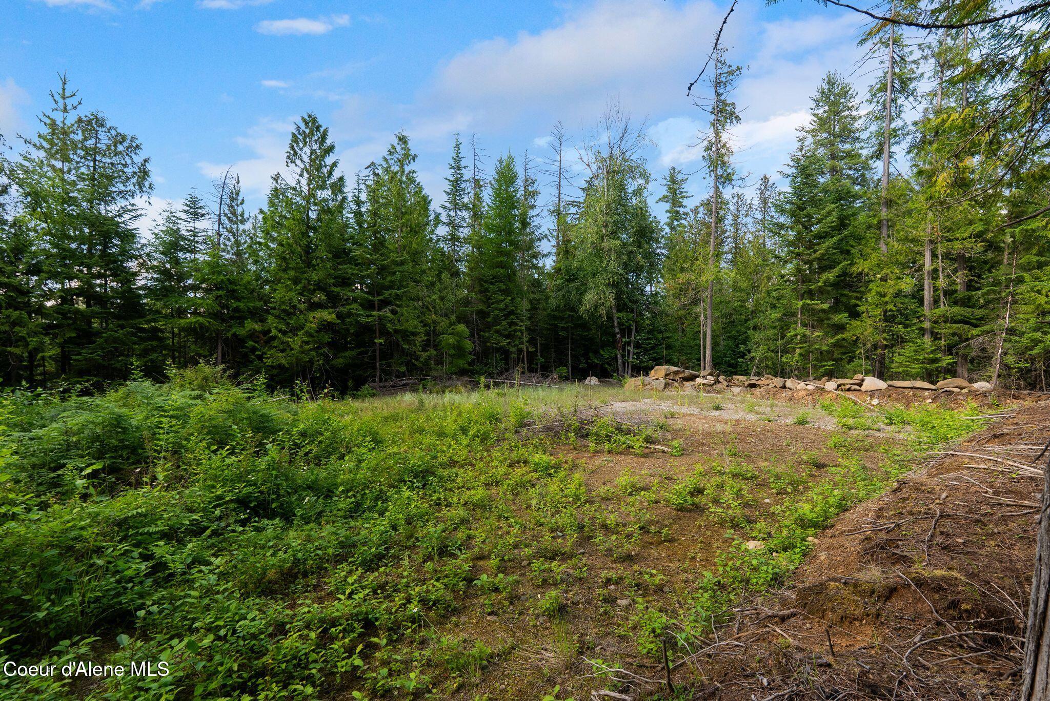 9782 Bottle Bay Road Sagle, ID 83860 - Photo 5 of 12 5_KFM07857