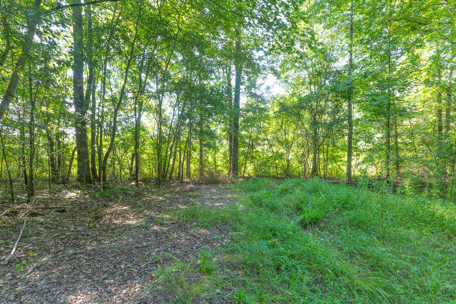 1129 Bronco Road LaFayette, GA 30728 - Photo 34 of 34 1129 Bronco Road 30728 HD-13