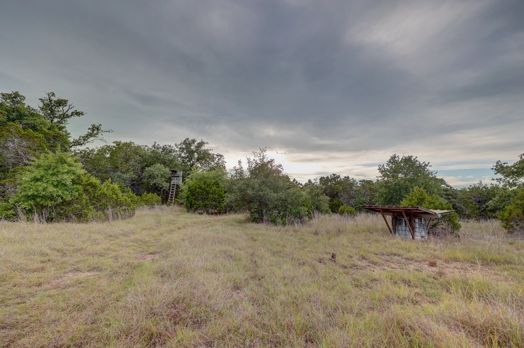 438 Yellowstone Lane Hunt, TX 78024 - Photo 19 of 47