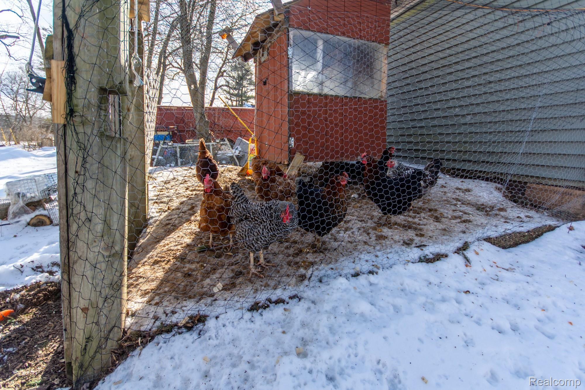 1274 Rochester Road Leonard, MI 48367 - Photo 22 of 23 DSC_9895.jpg