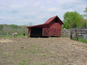 1343 Shawswick Station Road Bedford, IN 47421 - Photo 5 of 5
