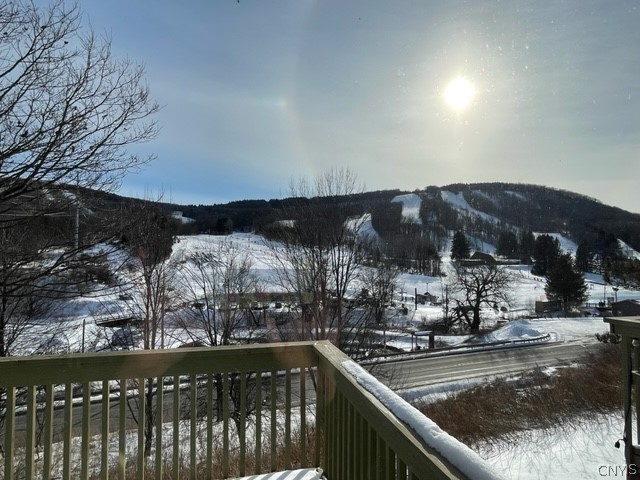 2012 Alpha Circle, Unit 7E Virgil, NY 13045 - Photo 11 of 30