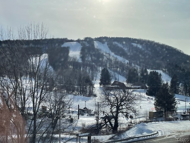 2012 Alpha Circle, Unit 7E Virgil, NY 13045 - Photo 12 of 30