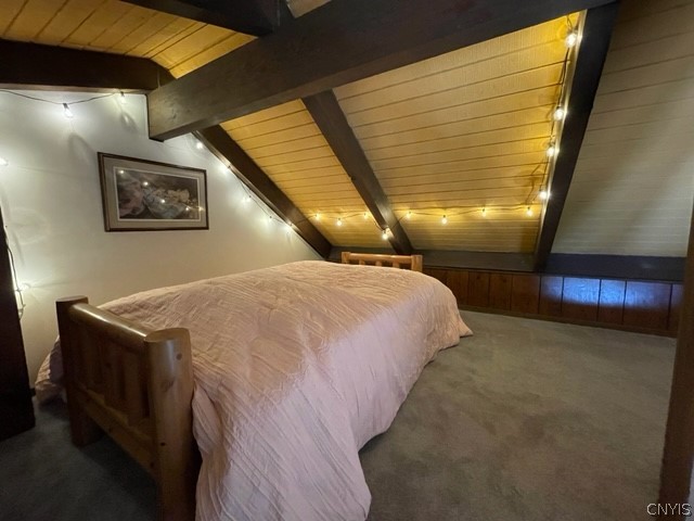 2012 Alpha Circle, Unit 7E Virgil, NY 13045 - Photo 15 of 30