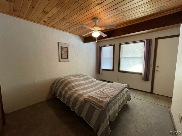 2012 Alpha Circle, Unit 7E Virgil, NY 13045 - Photo 24 of 30