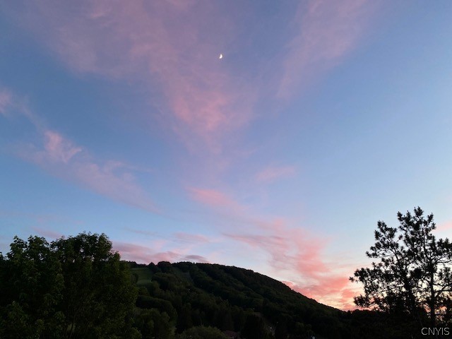 2012 Alpha Circle, Unit 7E Virgil, NY 13045 - Photo 26 of 30