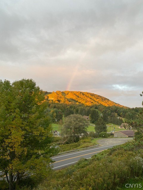 2012 Alpha Circle, Unit 7E Virgil, NY 13045 - Photo 27 of 30