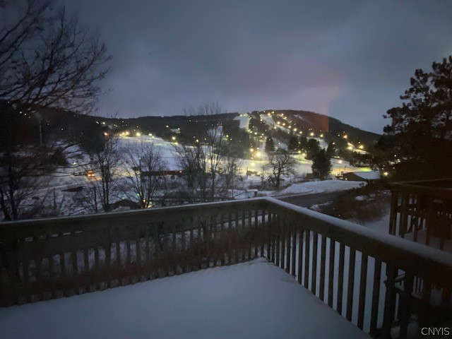 2012 Alpha Circle, Unit 7E Virgil, NY 13045 - Photo 28 of 30