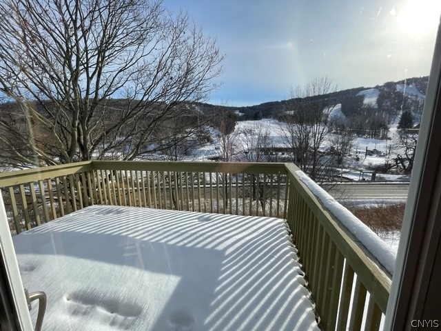 2012 Alpha Circle, Unit 7E Virgil, NY 13045 - Photo 10 of 30