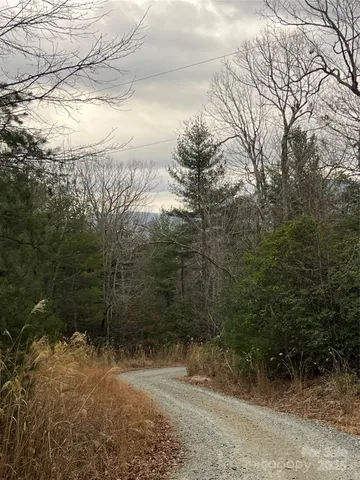 a view of a yard with large trees