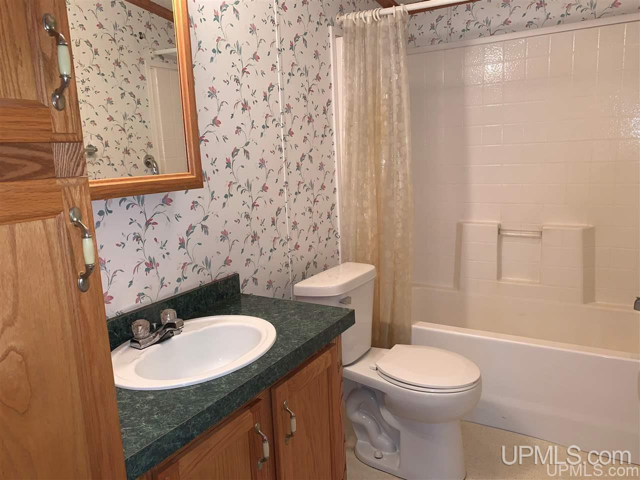 4414 10th Road Bark River, MI 49807 - Photo 3 of 16