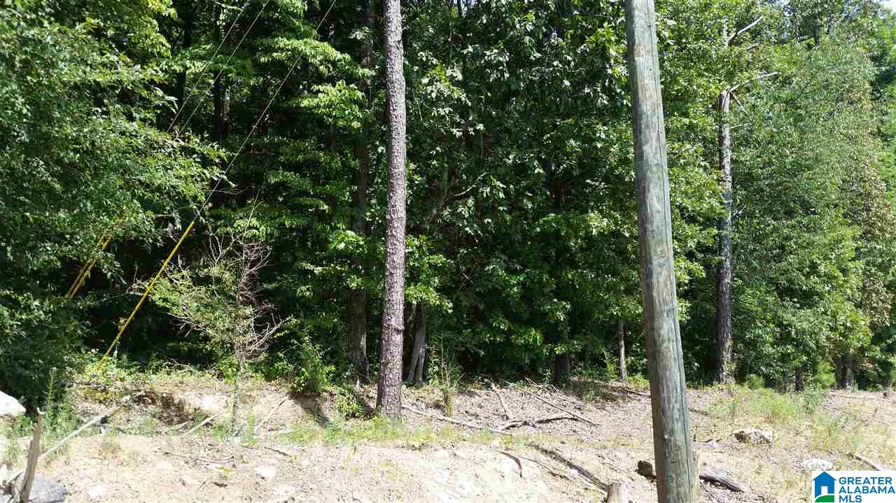 1885 Brooks Lake Road Lincoln, AL 35096 - Photo 5 of 30