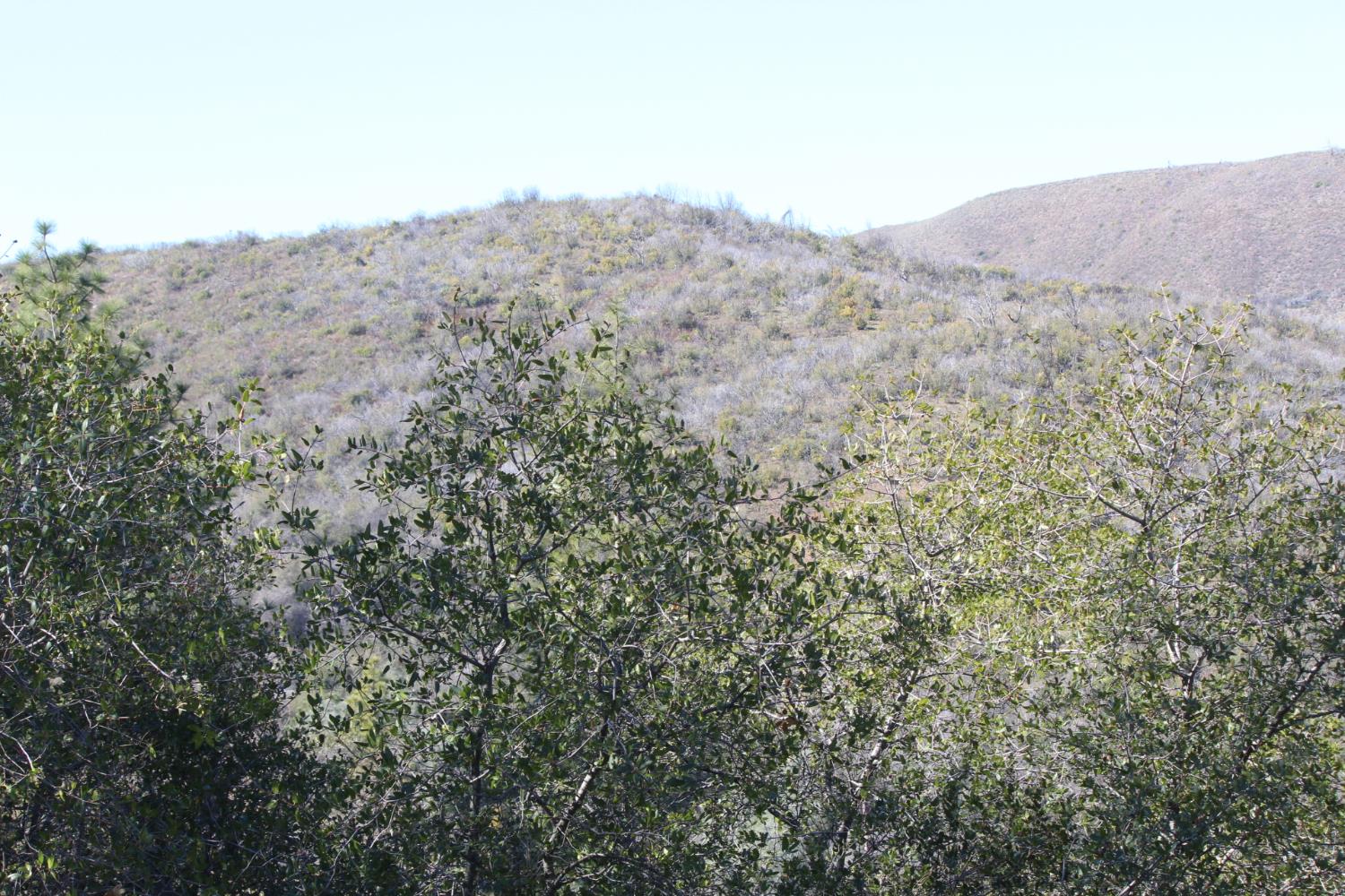 0 Fricot City Road Mountain Ranch, CA 95249 - Photo 9 of 9