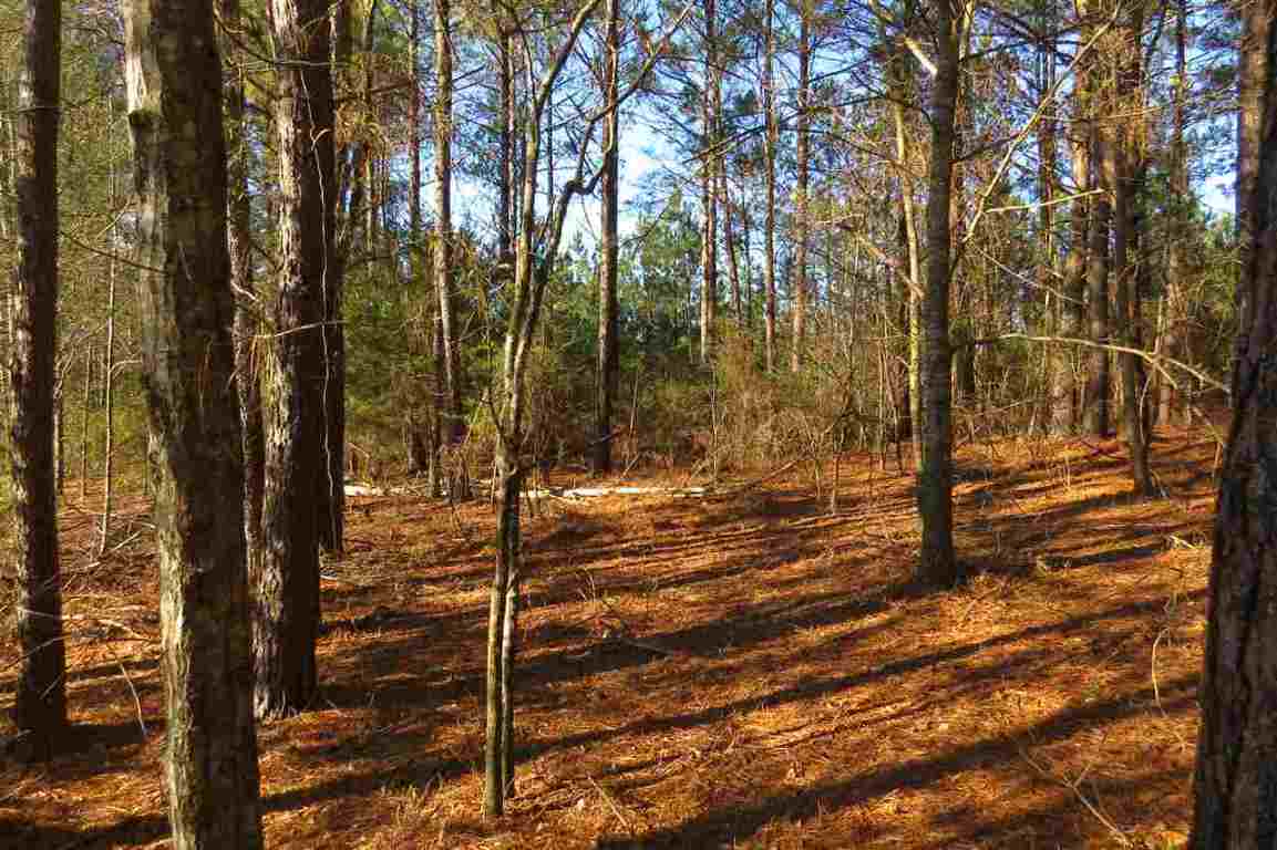 0 Clearmont Road Westminster, SC 29693 - Photo 6 of 22 Gallery Image 6
