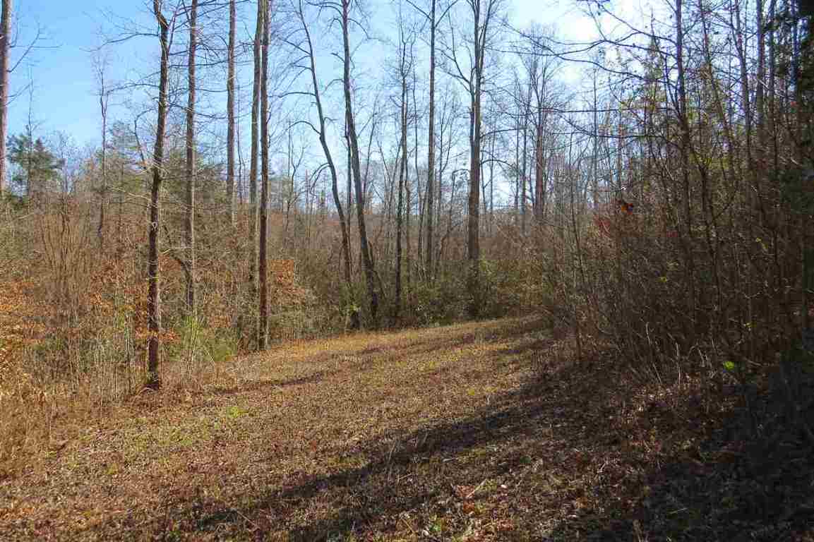 0 Clearmont Road Westminster, SC 29693 - Photo 9 of 22 Gallery Image 9