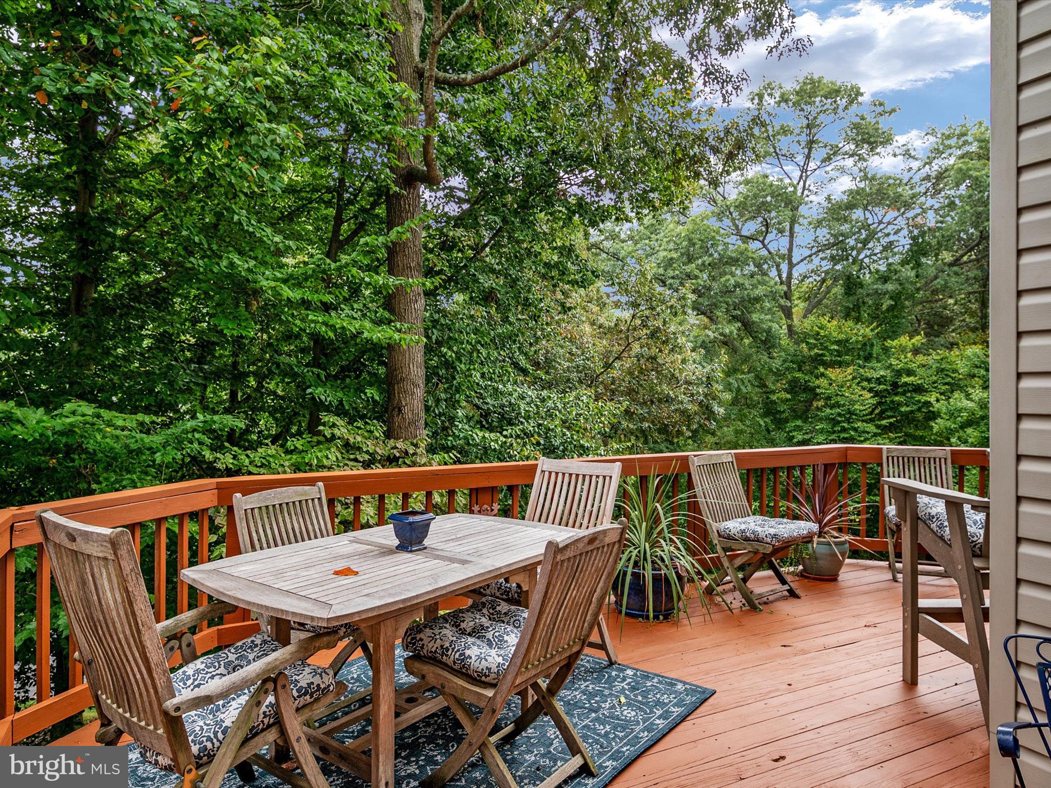 603 Andrew Hill Road Arnold, MD 21012 - Photo 3 of 60