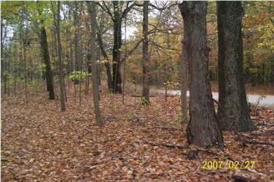 River Road, Unit B1 & Hastings, MI 49058 - Photo 1 of 5 Primary Photo