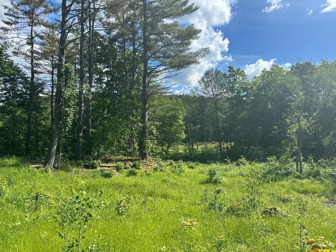 Lot#4 Frescoln Road Wentworth, NH 03282 - Photo 5 of 8 Gallery Image 5