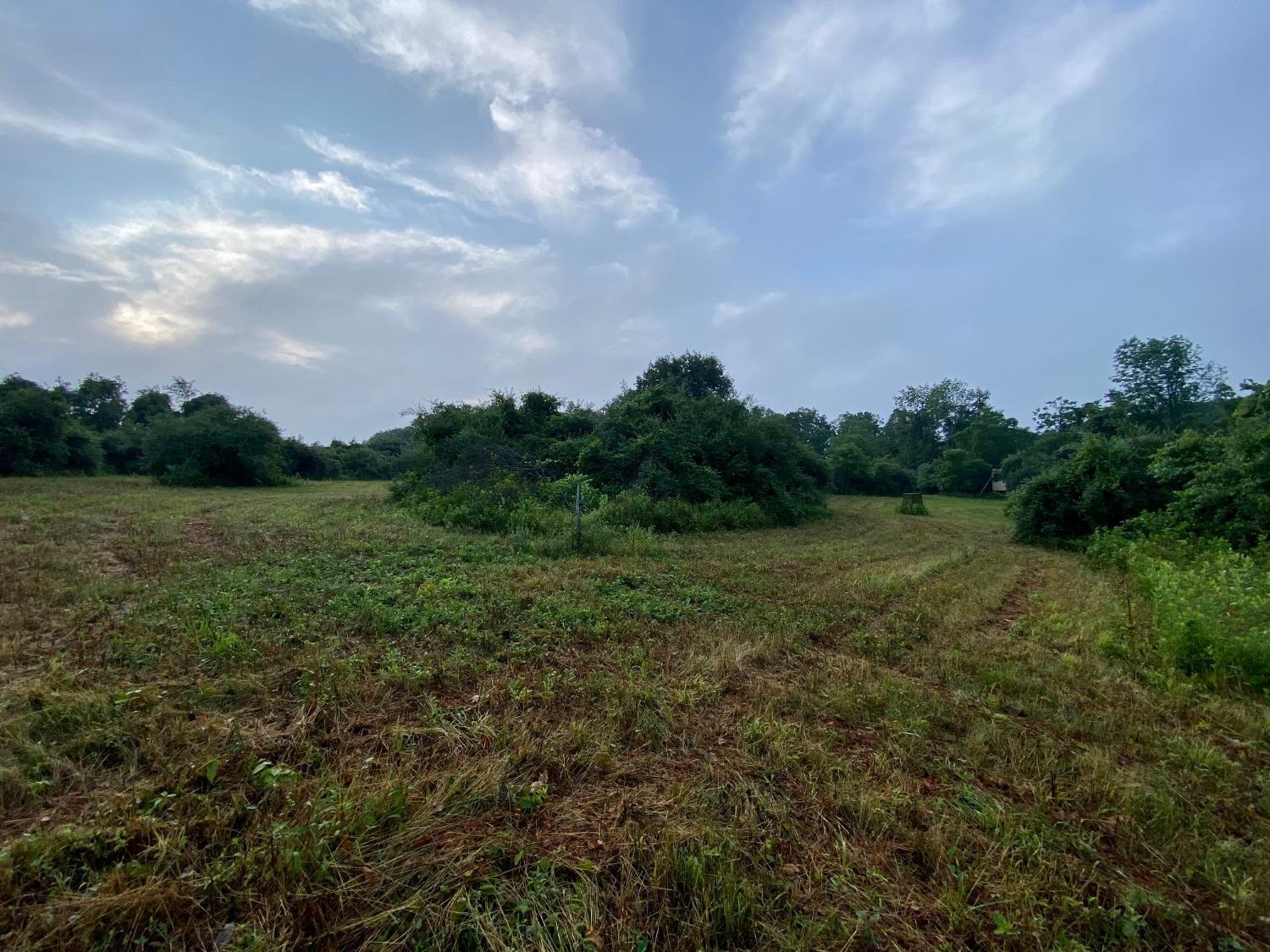 Acre Brier Ridge Road West Union, OH 45693 - Photo 21 of 27